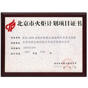 具有ASON功能的智能化城域网多业务光传输